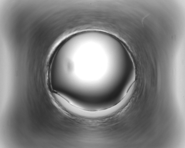 X0000084551511200703161637