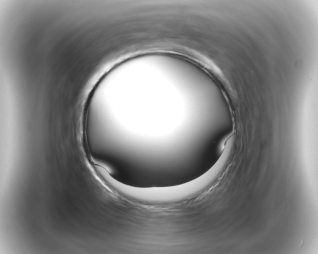 X0000084551512200703161637