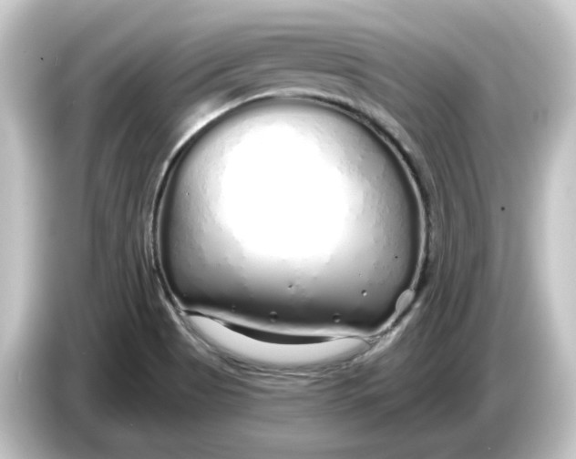 X0000084551513200703161637