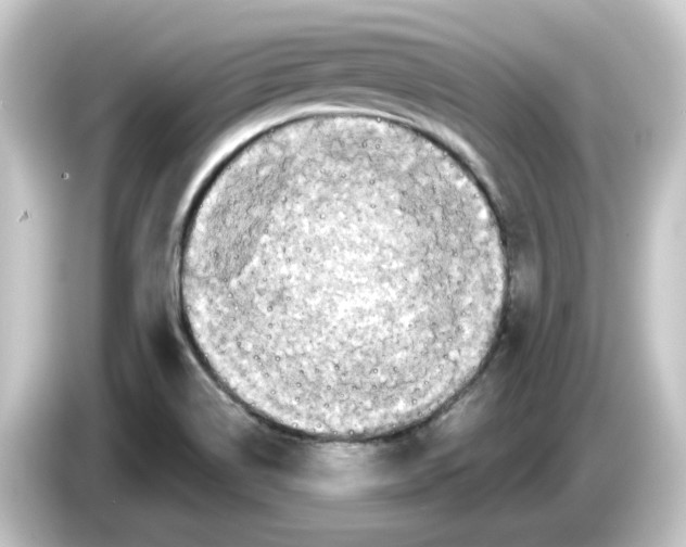 X0000084551514200703161637