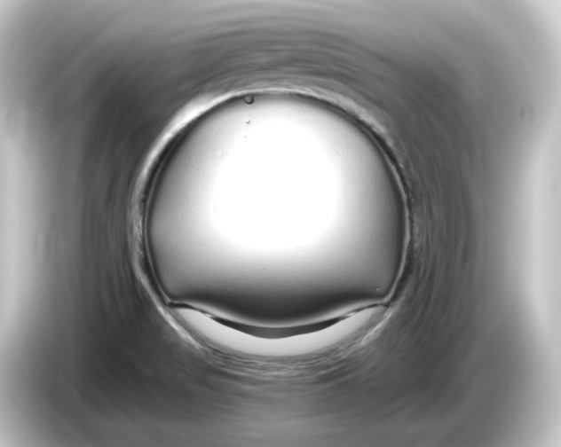 X0000084551517200703161637