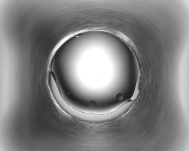 X0000084551520200703161637