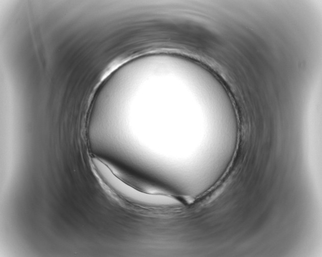 X0000084551521200703161637