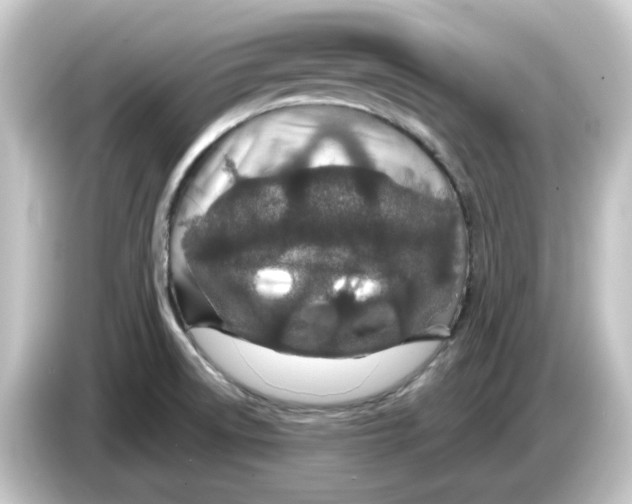 X0000084551522200703161637