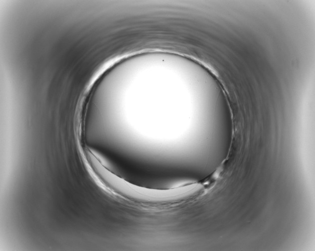 X0000084551523200703161637