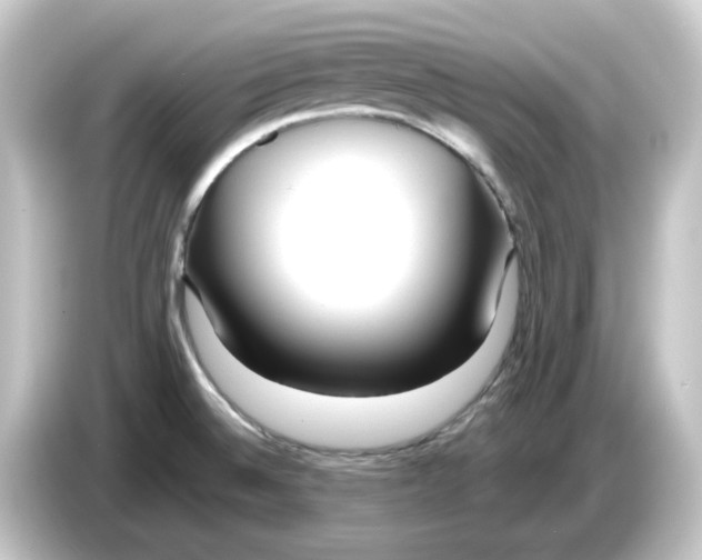 X0000084551524200703161637