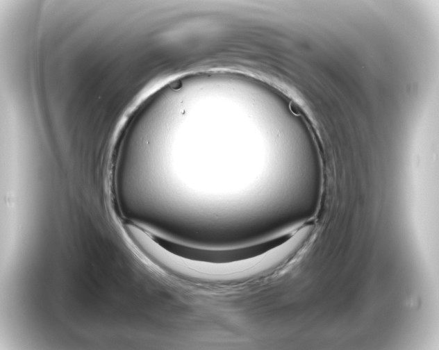 X0000084551525200703161637