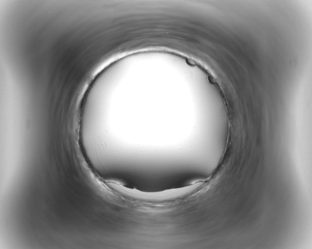 X0000084551526200703161637