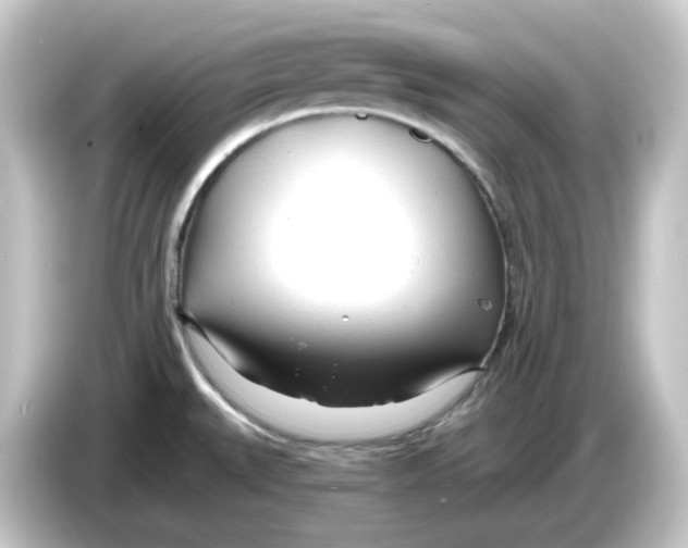 X0000084551527200703161637