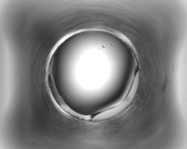 X0000084551528200703161637