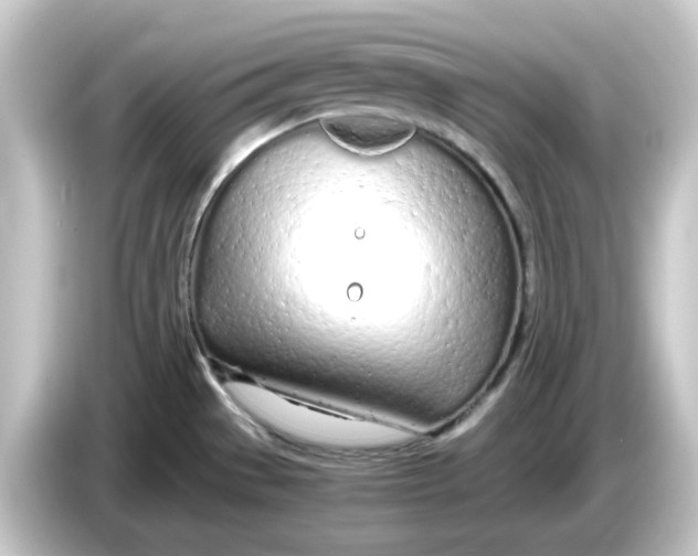 X0000084551529200703161637