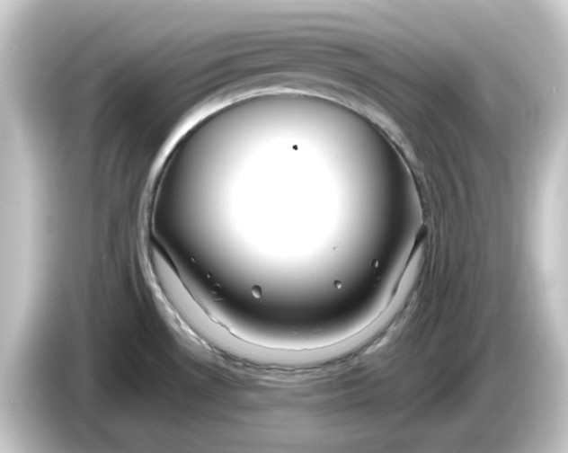 X0000084551530200703161637