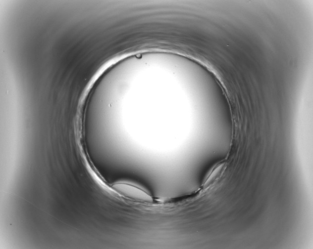 X0000084551531200703161637