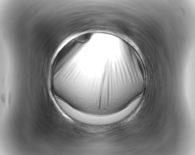 X0000084551533200703161637