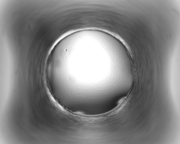 X0000084551534200703161637