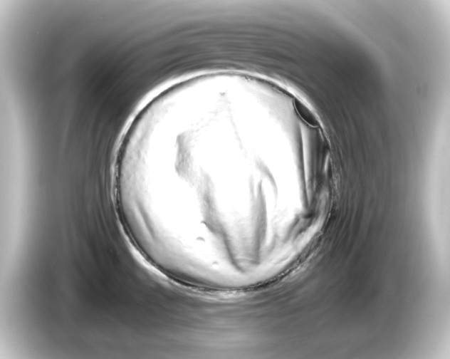 X0000084551535200703161637