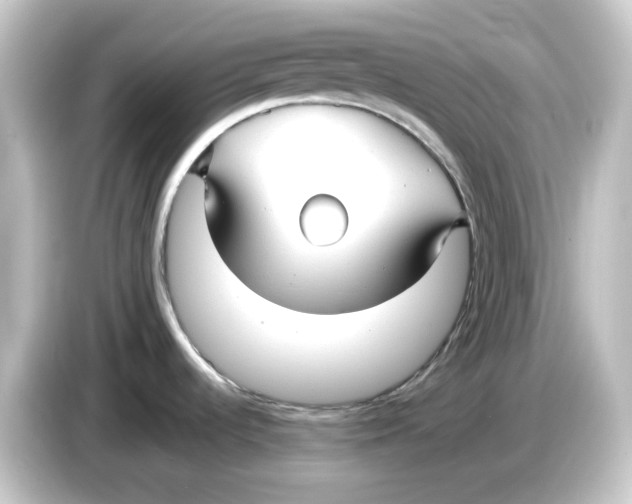 X0000084551536200703161637