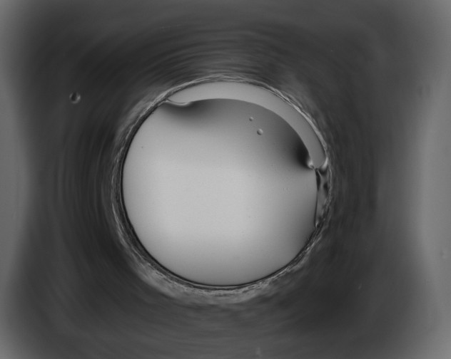 X0000084550001200703231746