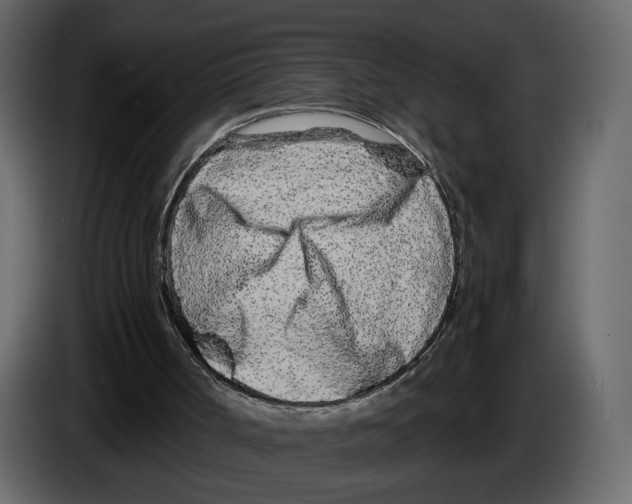 X0000084550002200703231746