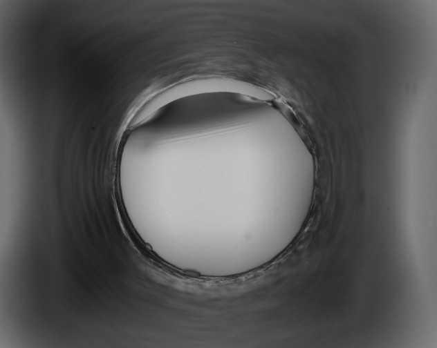 X0000084550003200703231746