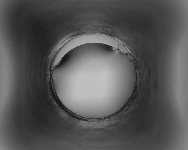 X0000084550005200703231746