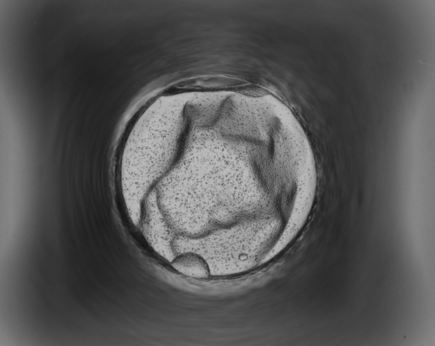 X0000084550006200703231746