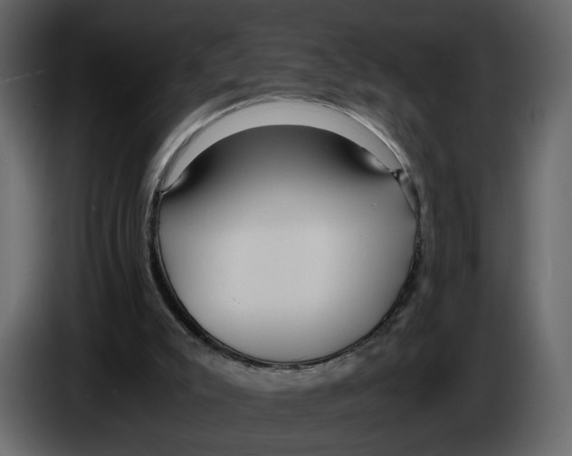 X0000084550007200703231746