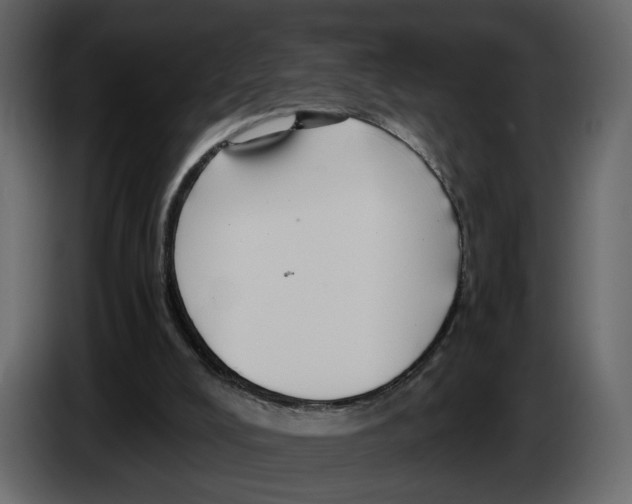 X0000084550008200703231746