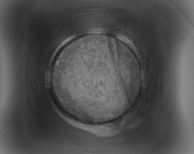 X0000084550012200703231746