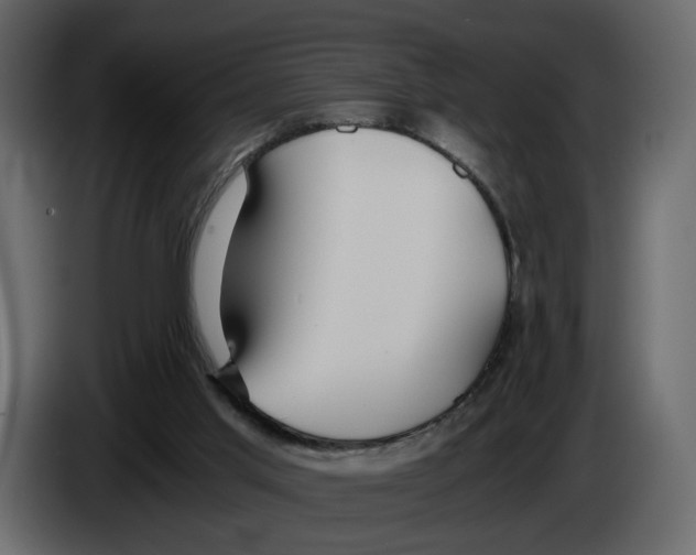 X0000084550013200703231746