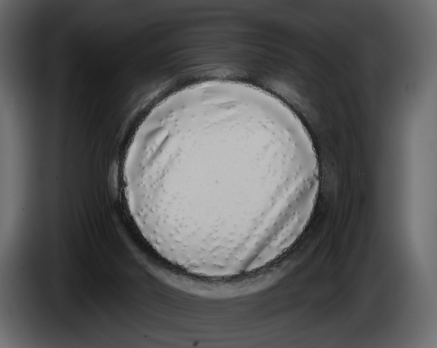 X0000084550014200703231746