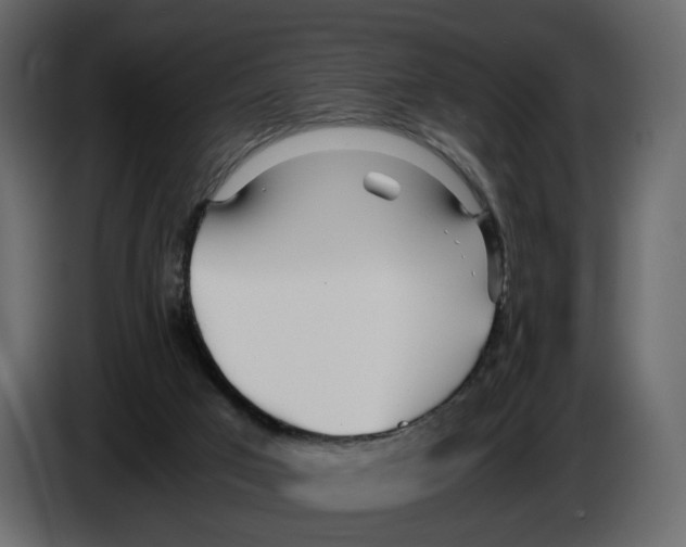 X0000084550017200703231746