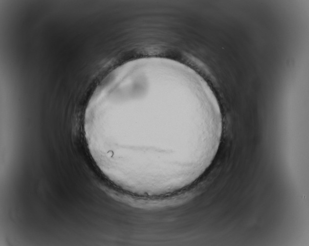 X0000084550018200703231746