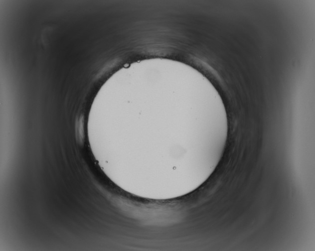 X0000084550020200703231746