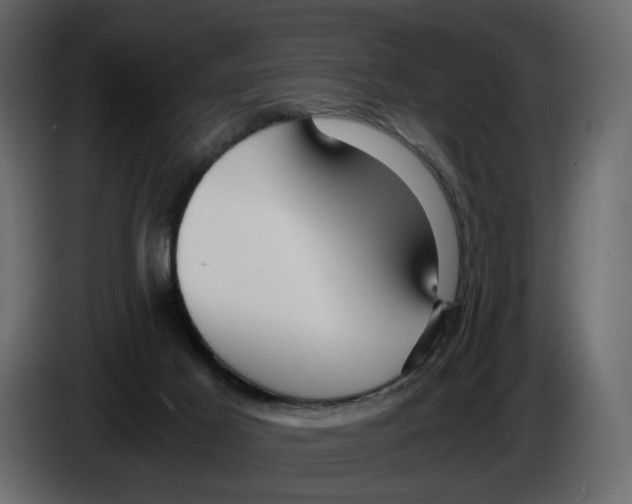 X0000084550021200703231746