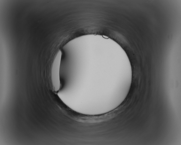 X0000084550025200703231746