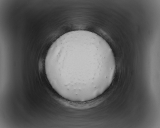 X0000084550026200703231746