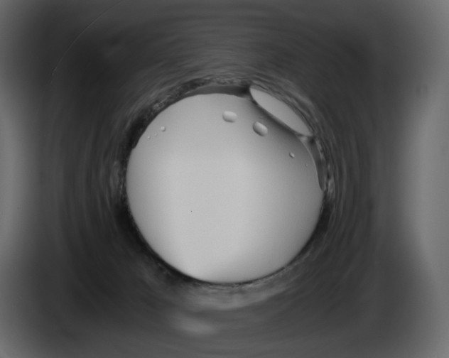 X0000084550029200703231746