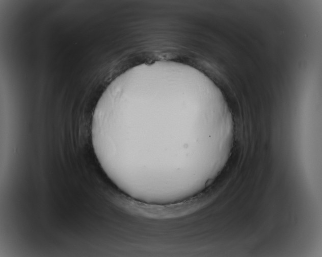 X0000084550030200703231746