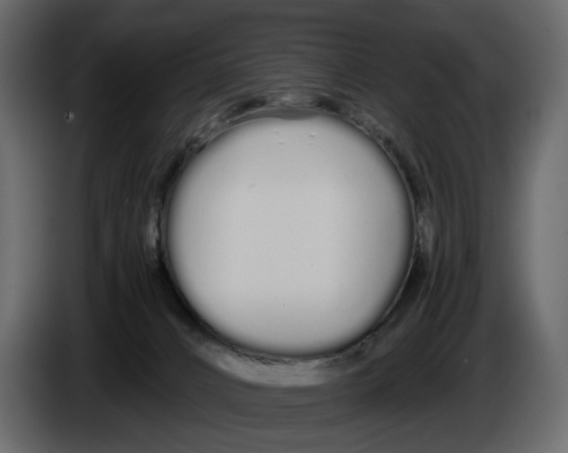 X0000084550032200703231746