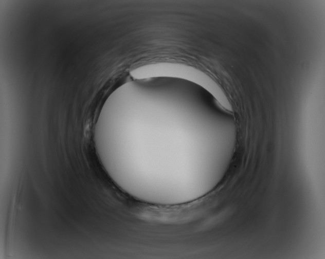 X0000084550033200703231746