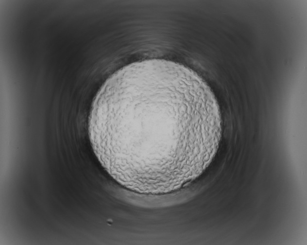 X0000084550034200703231746