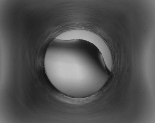 X0000084550035200703231746