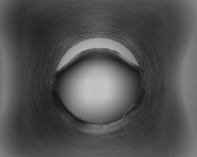 X0000084550037200703231746