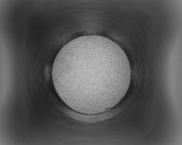 X0000084550038200703231746