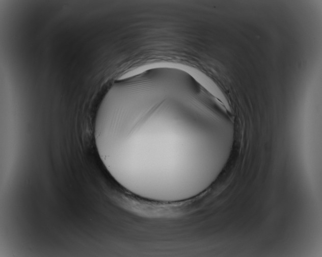 X0000084550040200703231746