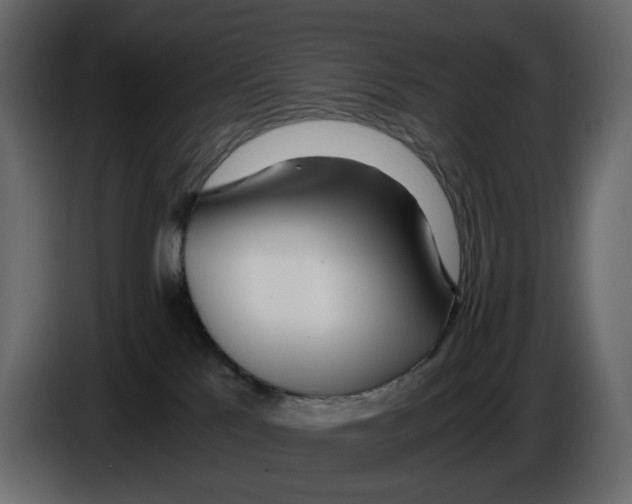 X0000084550041200703231746