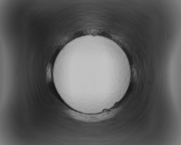 X0000084550042200703231746