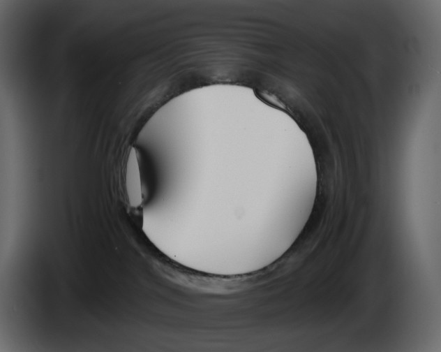 X0000084550044200703231746