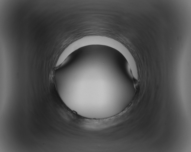 X0000084550045200703231746